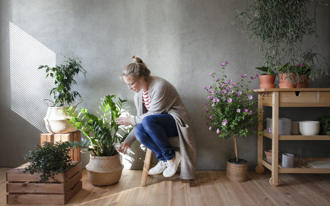 Green Spaces in Urban Places: Indoor Gardening Ideas for City Homes